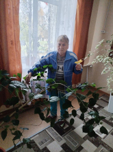 Уход за комнатными растениями